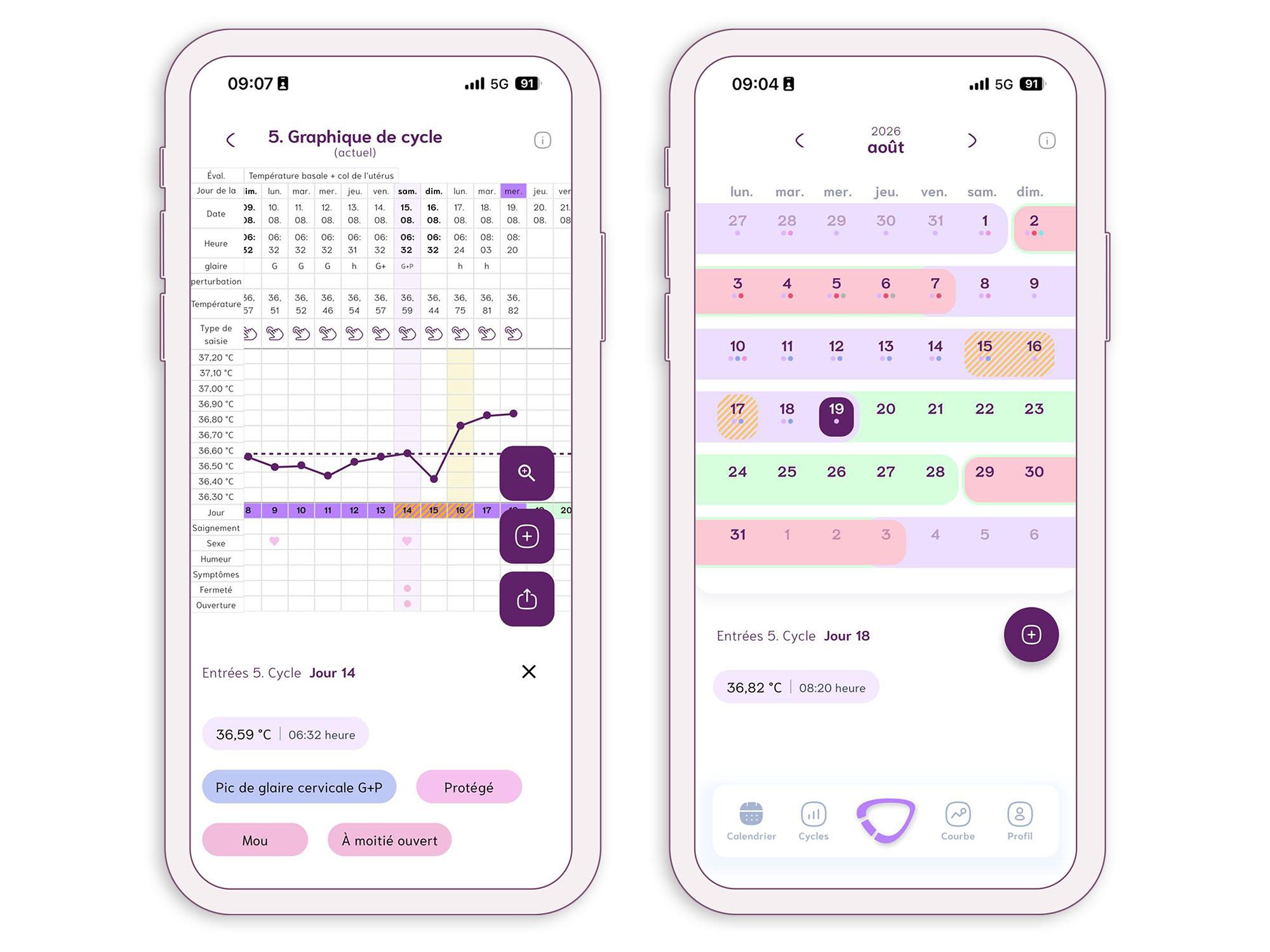 Screenshot courbe du cycle et visualisation du cycle sur le mois